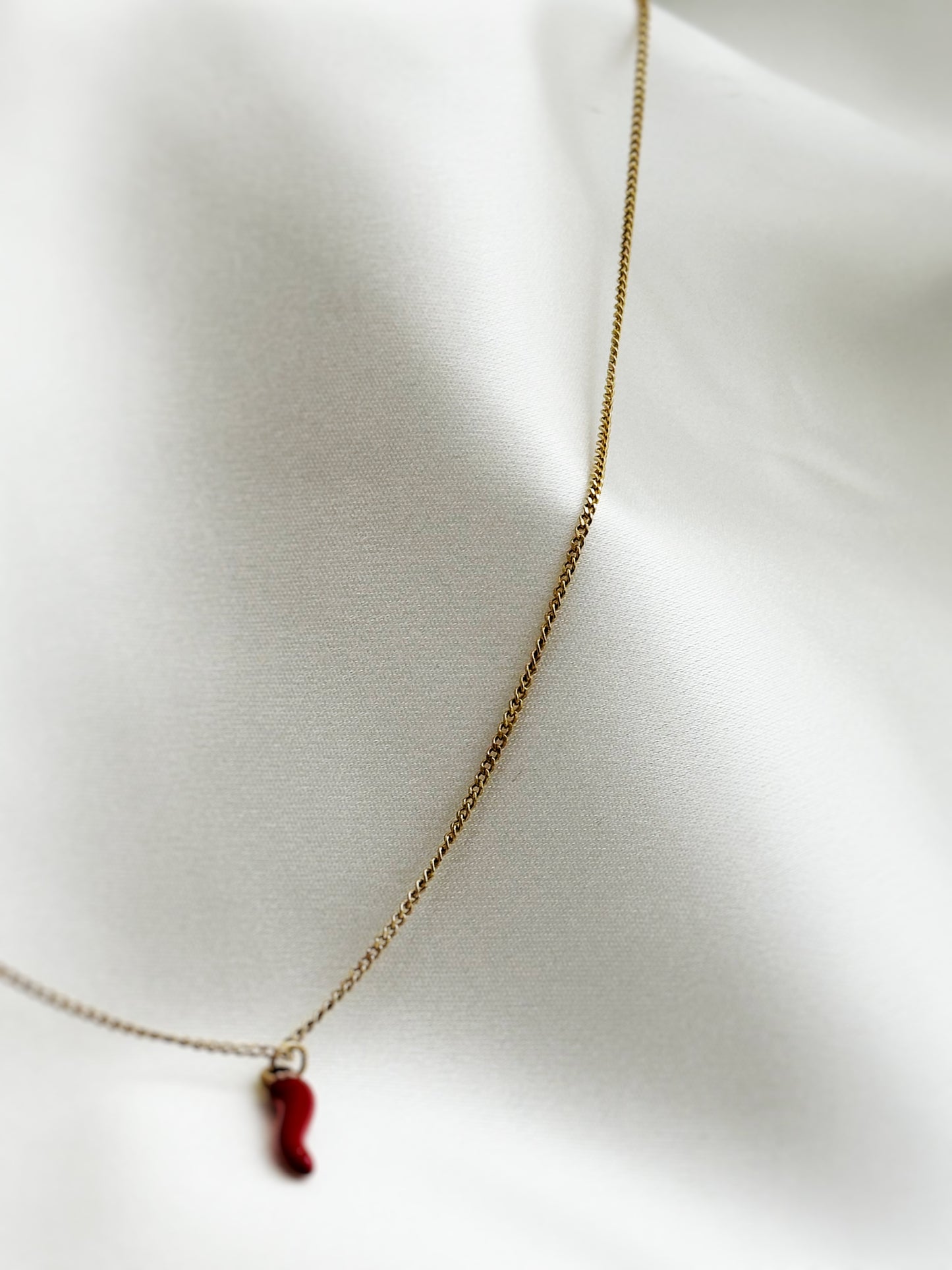 Red Chili Kette – Cornicello Halskette aus Edelstahl | Italienisches Glückssymbol